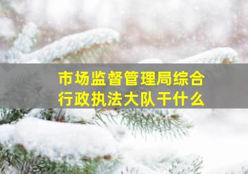 市场监督管理局综合行政执法大队干什么