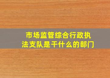 市场监管综合行政执法支队是干什么的部门