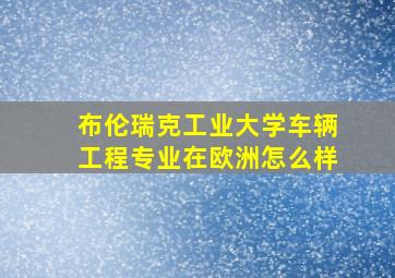 布伦瑞克工业大学车辆工程专业在欧洲怎么样