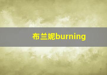 布兰妮burning