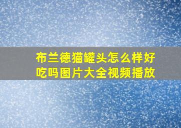 布兰德猫罐头怎么样好吃吗图片大全视频播放