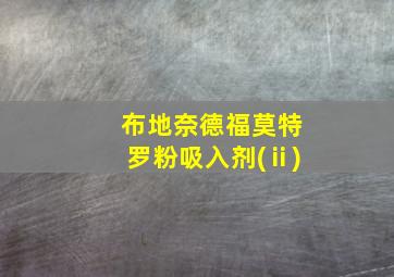 布地奈德福莫特罗粉吸入剂(ⅱ)