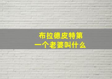 布拉德皮特第一个老婆叫什么