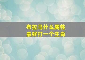 布拉马什么属性最好打一个生肖