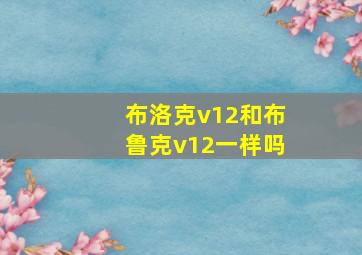 布洛克v12和布鲁克v12一样吗