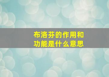 布洛芬的作用和功能是什么意思