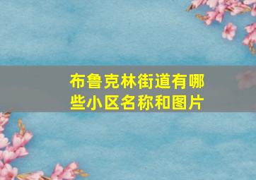 布鲁克林街道有哪些小区名称和图片