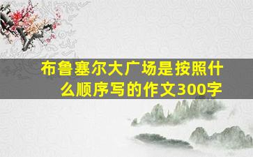 布鲁塞尔大广场是按照什么顺序写的作文300字