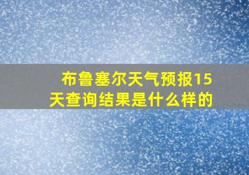 布鲁塞尔天气预报15天查询结果是什么样的