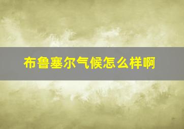 布鲁塞尔气候怎么样啊