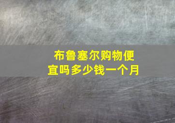 布鲁塞尔购物便宜吗多少钱一个月