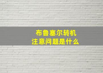 布鲁塞尔转机注意问题是什么