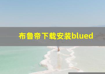 布鲁帝下载安装blued