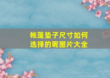 帐篷垫子尺寸如何选择的呢图片大全