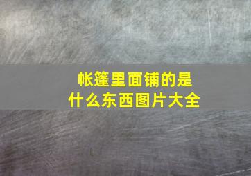 帐篷里面铺的是什么东西图片大全