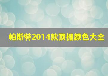 帕斯特2014款顶棚颜色大全