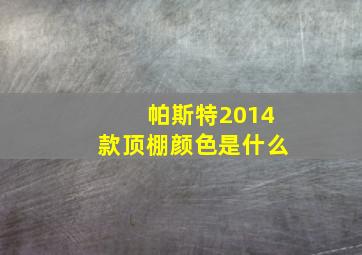 帕斯特2014款顶棚颜色是什么