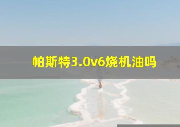 帕斯特3.0v6烧机油吗