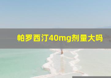 帕罗西汀40mg剂量大吗