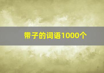 带子的词语1000个