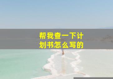 帮我查一下计划书怎么写的