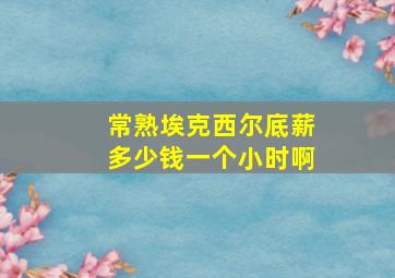 常熟埃克西尔底薪多少钱一个小时啊