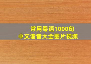 常用粤语1000句中文谐音大全图片视频