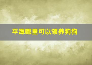 平潭哪里可以领养狗狗