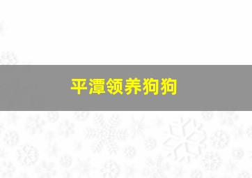 平潭领养狗狗