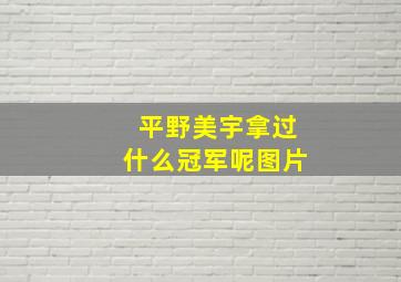 平野美宇拿过什么冠军呢图片