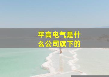 平高电气是什么公司旗下的