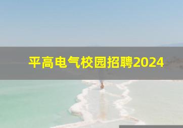 平高电气校园招聘2024