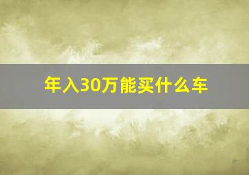 年入30万能买什么车