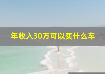 年收入30万可以买什么车