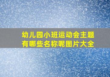 幼儿园小班运动会主题有哪些名称呢图片大全