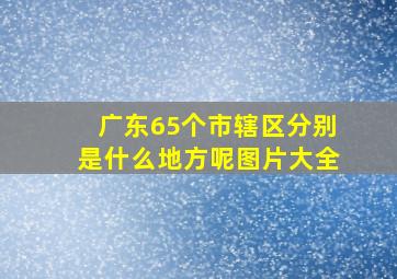 广东65个市辖区分别是什么地方呢图片大全