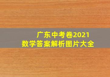 广东中考卷2021数学答案解析图片大全