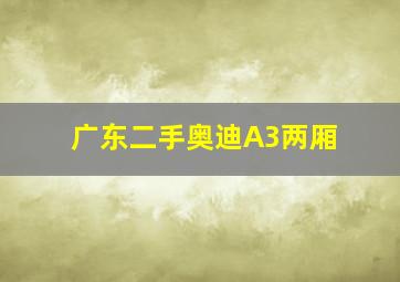 广东二手奥迪A3两厢