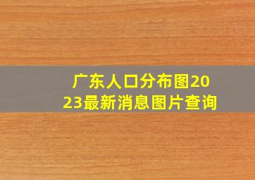 广东人口分布图2023最新消息图片查询