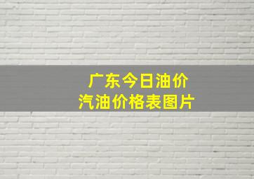 广东今日油价汽油价格表图片