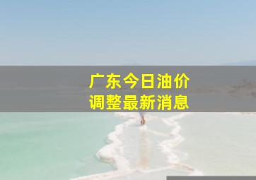 广东今日油价调整最新消息