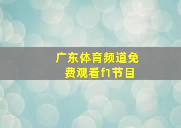 广东体育频道免费观看f1节目