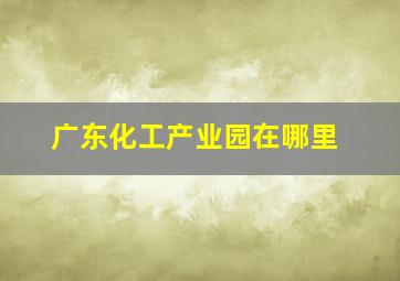 广东化工产业园在哪里