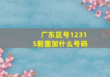 广东区号12315前面加什么号码