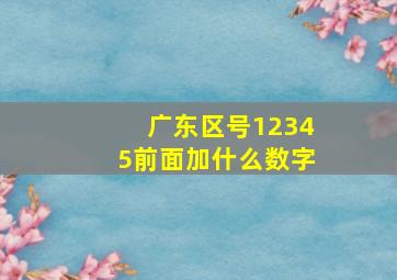 广东区号12345前面加什么数字