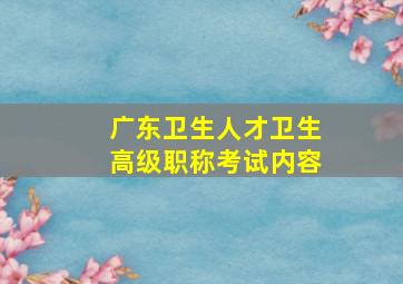 广东卫生人才卫生高级职称考试内容