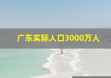 广东实际人口3000万人