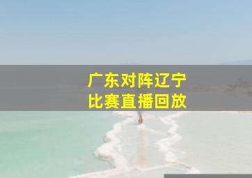 广东对阵辽宁比赛直播回放