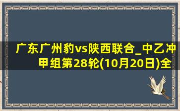 广东广州豹vs陕西联合_中乙冲甲组第28轮(10月20日)全场录像