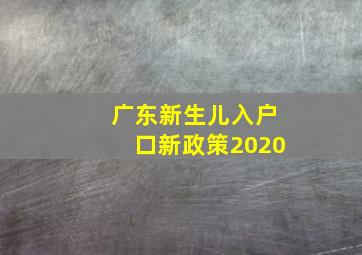 广东新生儿入户口新政策2020